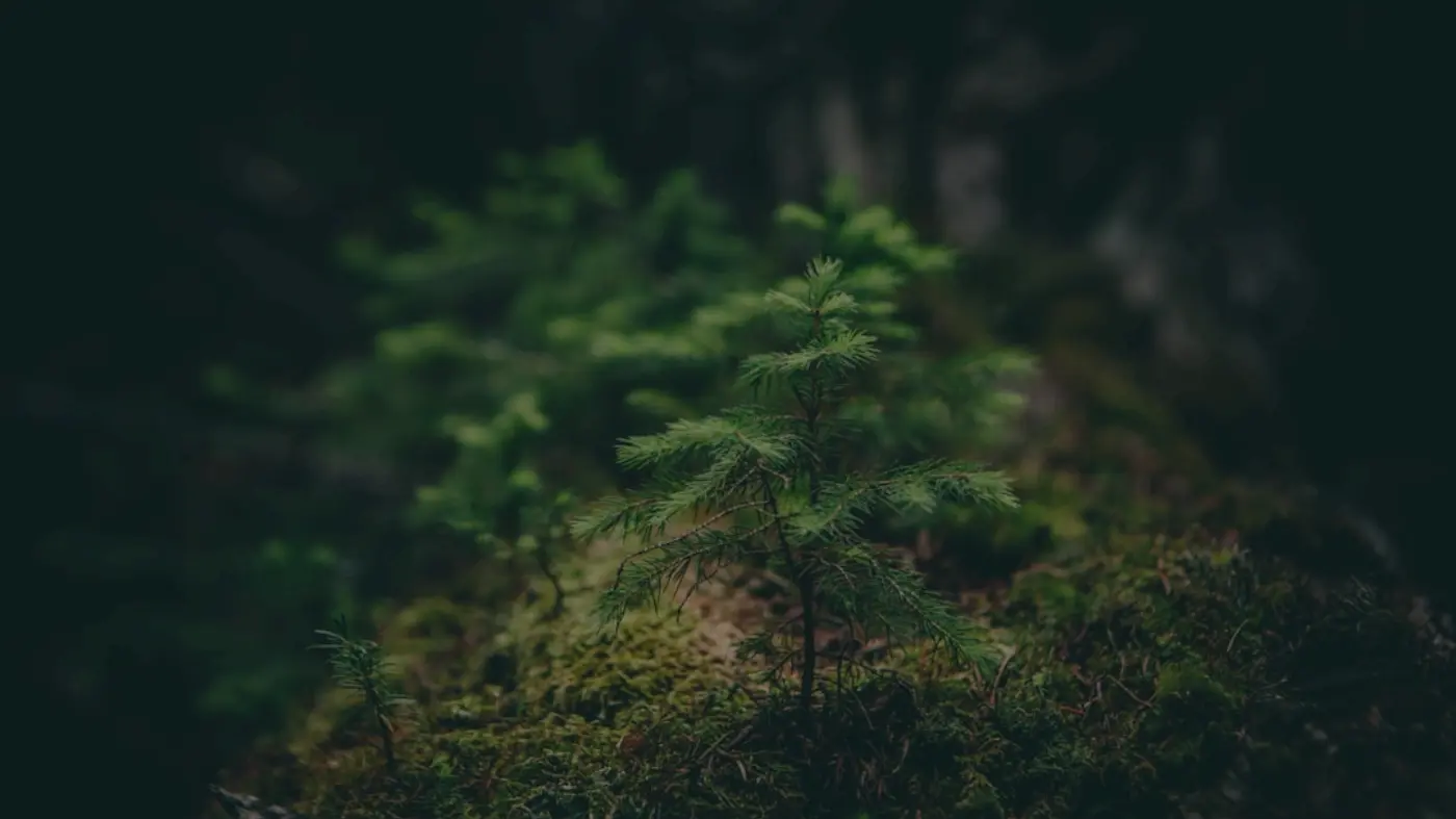 What are Lateral Thinking Puzzles? Let Me Tell You About This Addictive Game! What are Lateral Thinking Puzzles? Let Me Tell You About This Addictive Game!